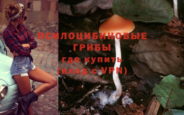 не бодяженный Михайловск
