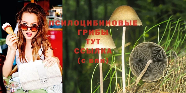 PSILOCYBIN Волоколамск