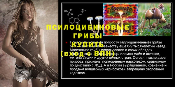 PSILOCYBIN Волоколамск