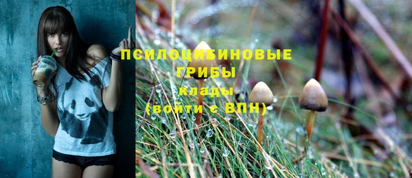 не бодяженный Надым