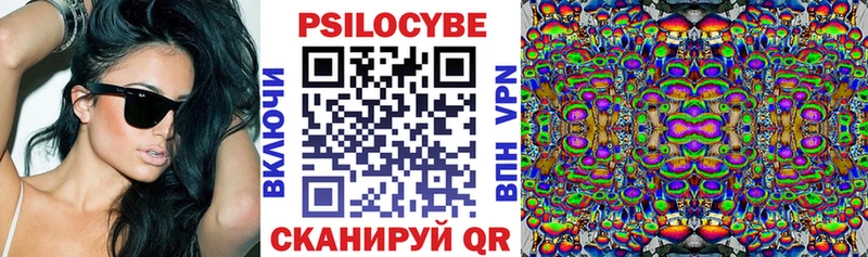 Псилоцибиновые грибы Cubensis Нерчинск